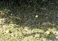 990808006.jpg