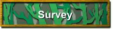 Survey