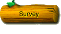 Survey