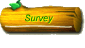 Survey